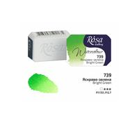 Rosa Galleria Artista Qualità Acquerello Completo Vaschette Fare il Tuo Stile Di