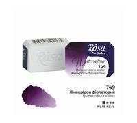 Rosa Galleria Artista Qualità Acquerello Completo Vaschette Fare il Tuo Stile Di