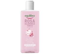 ROSA IALURONICA TONICO 228G