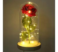 Rosa La Bella E La Bestia, Rosa Eterna in Cupola di Vetro, Simbolismo Fortunato Bello Romantico Rosa Incantata Regali Romantici con Luce a LED Per Compleanno Anniversario di Matrimonio(Vermiglio)