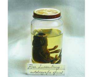 Rosa Luxemburg - Autobiografia Oficial