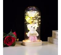 Rosa regalo con fiore di rosa, ispirato alla Bella e la Bestia, regalo per moglie, madre e persone care