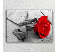 Rosa Rossa 5 - Quadro Moderno su Tela con Fiori 70x50 Camera da Letto Soggiorno