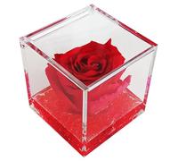 Rosa Rossa Vera Regalo Donna Anniversario Natale Festa Pensiero Mamma Fidanzata Cerimonia Dono Eterna Stabilizzata Profumata 8 cm