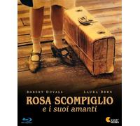 Rosa Scompiglio E I Suoi Amanti