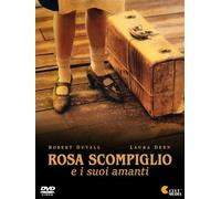 Rosa Scompiglio E I Suoi Amanti