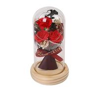 Rosa sotto Cupola di - Rosa Preservata Rosa Rossa in Seta Regali per le Donne | La E La Rosa Illuminata, Idea Compleanno Decorazione Romantica per Regalo Madre, Santo