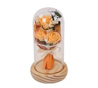 Rosa sotto Cupola di - Rosa Preservata Rosa Rossa in Seta Regali per le Donne | La E La Rosa Illuminata, Idea Compleanno Decorazione Romantica per Regalo Madre, Santo