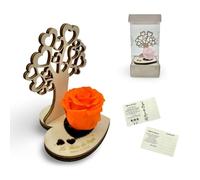 Rosa Stabilizzata con Albero della Vita in Legno - Fiore Naturale a Lunga Durata, Intaglio Laser e Scatola Elegante - Idea Regalo Simbolica Made in Italy (Arancione)