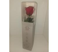 Rosa stabilizzata con Gambo 20CM, Rosa Vera, Idea Regalo Natale e Feste, Fiore 5cm. Colore Rosso e Nero (Rosso)
