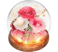 Rosa Stabilizzata Eterna Vetro - Vera Fiori Stabilizzati Veri Rose Cofanetto Reg