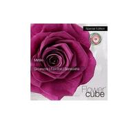 Rosa stabilizzata FlowerCube cubo 10x10 cm