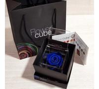 Rosa stabilizzata FlowerCube cubo 10x10 cm