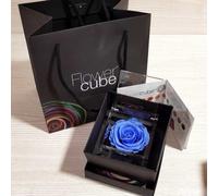 Rosa stabilizzata FlowerCube cubo 10x10 cm