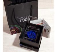 Rosa stabilizzata FlowerCube cubo 12x12 cm