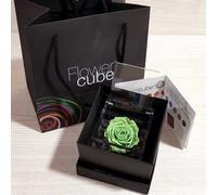 Rosa stabilizzata FlowerCube cubo 12x12 cm