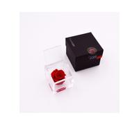 Rosa stabilizzata FlowerCube cubo 6x6 cm