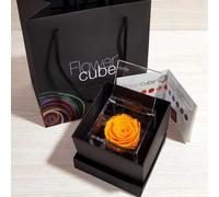 Rosa stabilizzata FlowerCube cubo 8x8 cm