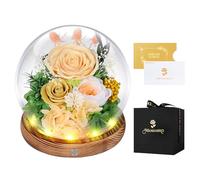 Rosa Stabilizzata Vera con Luci LED,Fiori Rose Eterna la Bella e la Bestia,Regalo per Lei,Idee Regalo San Valentino,Compleanno,Anniversario per Donna Fidanzata Mamma,Festa Della Mamma(Champagne)