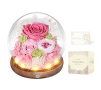Rosa Stabilizzata Vera con Luci LED,Fiori Rose Eterna la Bella e la Bestia,Regalo per Lei,Idee Regalo San Valentino,Compleanno,Anniversario per Donna Fidanzata Mamma,Festa della Mamma(Rosa)