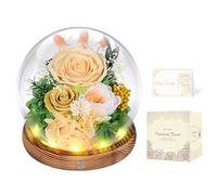 Rosa Stabilizzata Vera con Luci LED, Rosa Eterna La Bella e la Bestia, Regalo per Lei, Donna, Fidanzata, Mamma, Idee Regalo per San Valentino, Compleanno, Anniversario, Festa della Mamma (Champagne)