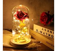 Rosa Stabilizzata Vera, Regali Natale Donna La Bella e La Bestia Rosa Eterna in cupola di vetro colorate con luce a LED per San Valentino, Natale, festa della mamma, giorno del ringraziamento