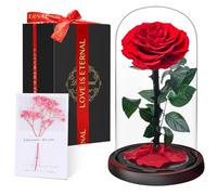 Rosa Stabilizzata Vera Regalo Donna in Cupola Vetro - Donna Regalo Compleanno, Rosa Eterna Idee Regalo Mamma Moglie Fidanzata Nonna, per San Valentino Anniversario Festa della Compleanno Natale