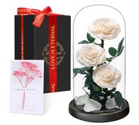 Rosa Stabilizzata Vera Regalo Donna in Cupola Vetro - Donna Regalo Compleanno, Rosa Eterna Idee Regalo Mamma Moglie Fidanzata Nonna, per San Valentino Anniversario Festa della Compleanno Natale