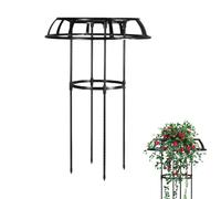Rosa Trellis per Area Esterna - A | Gratis Di Fabbrica A Forma Di Attrezzature In Acciaio, Clematis A Supporto Di Fabbrica, Torre Di Supporto Vite S