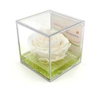 rosa vera bianca, regalo festa pensiero cerimonia, dura per sempre, stabilizzata profumata cubo 8x8x8 plexiglass