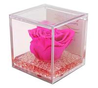 rosa vera fucsia, regalo festa pensiero cerimonia, dura per sempre, stabilizzata profumata cubo 8x8x8 plexiglass