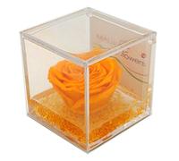 rosa vera gialla, regalo festa pensiero cerimonia, dura per sempre, stabilizzata profumata cubo 8x8x8 plexiglass
