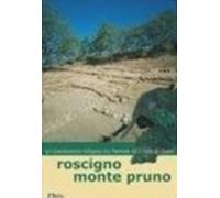 Roscigno Monte Pruno: un sito di frontiera tra Paestum e il Vallo di Diano