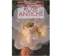 Rose antiche