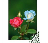 Rose bicolori ricoperte di rugiada Puzzle Rosa e Goccia di Rugiada 1000 Pezzi Cartone Di Alta Qualità Per Adulti, Difficile Sfida Educativa, Idea Regalo Natale, Decorazione Murale 38x26cm/1000pcs