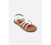 Rose et Martin - CHODREY Bianco - Sandali e scarpe aperte 33 Bianco