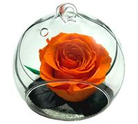 Rose Eternelle La Vie en Rose - Vaso a sfera in vetro, colore: Rosa stabilizzata - Composizione floreale (arancione)