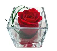 Rose Eternelle La Vie en Rose - Vaso quadrato in vetro, colore: Rosa stabilizzata