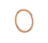 (Rose Gold-Thickness1.0mm,Diameter -12mm)Anello Naso Acciaio Setto Clicker Cerniera Segmento per Orecchio Elica Tragus Anello Cerchio