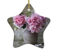 Rose graziose che stampano gli ornamenti cristiani dell'albero di Natale, ornamenti della stella della fattoria, Shap ceramico della stella per la decorazione di festa