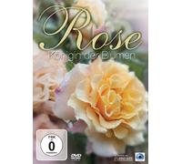Rose - Königin der Blumen