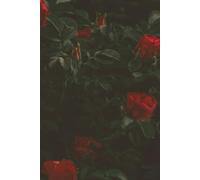 Rose Noir Journal: Elegant Floral Hardcover Diary | Blank Lined with 120 pages | Dark Aesthetic Creative Writing Notebook | Gothic, Romantic Red Rose Themed Gift