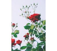 Rose Notebook: Blank Lined Notebook for All Ages, Rose, Flower Red | 6x9 inches, 110 pages | Gifts for Birthdays, Christmas, Thanksgiving and more