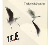 Rose of Avalanche,the - I.C.E.