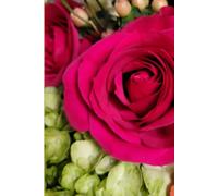 ROSE&PAPER Fine Writing Journal - Rose No. 16, 2026 Collection - for Women, Writers, Students & Rose Lovers: College-Ruled Notebook, 6x9 in (15.24 x ... Hot-Pink Margins - Romantic Floral Cover