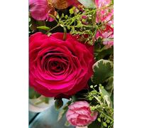 ROSE&PAPER Garden Layout Planner - Graph-Grid Notebook for Raised Beds, Plant Spacing & Seasonal Garden Design (2026 Collection - Rose No. 23): ... gardens, flower beds, and backyard layouts