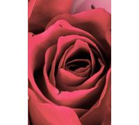 ROSE&PAPER Garden Layout Planner - Graph-Grid Notebook for Raised Beds, Plant Spacing & Seasonal Garden Design (2026 Collection - Rose No. 4): ... gardens, flower beds, and backyard layouts