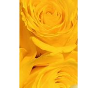 ROSE&PAPER Garden Layout Planner - Graph-Grid Notebook for Raised Beds, Plant Spacing & Seasonal Garden Design (2026 Collection - Rose No. 14): ... gardens, flower beds, and backyard layouts