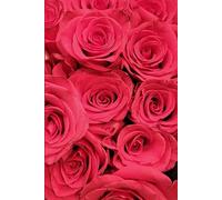 ROSE&PAPER Garden Layout Planner - Graph-Grid Notebook for Raised Beds, Plant Spacing & Seasonal Garden Design (2026 Collection - Rose No. 2): ... gardens, flower beds, and backyard layouts