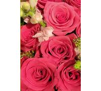 ROSE&PAPER Garden Layout Planner - Graph-Grid Notebook for Raised Beds, Plant Spacing & Seasonal Garden Design (2026 Collection - Rose No. 18): ... gardens, flower beds, and backyard layouts